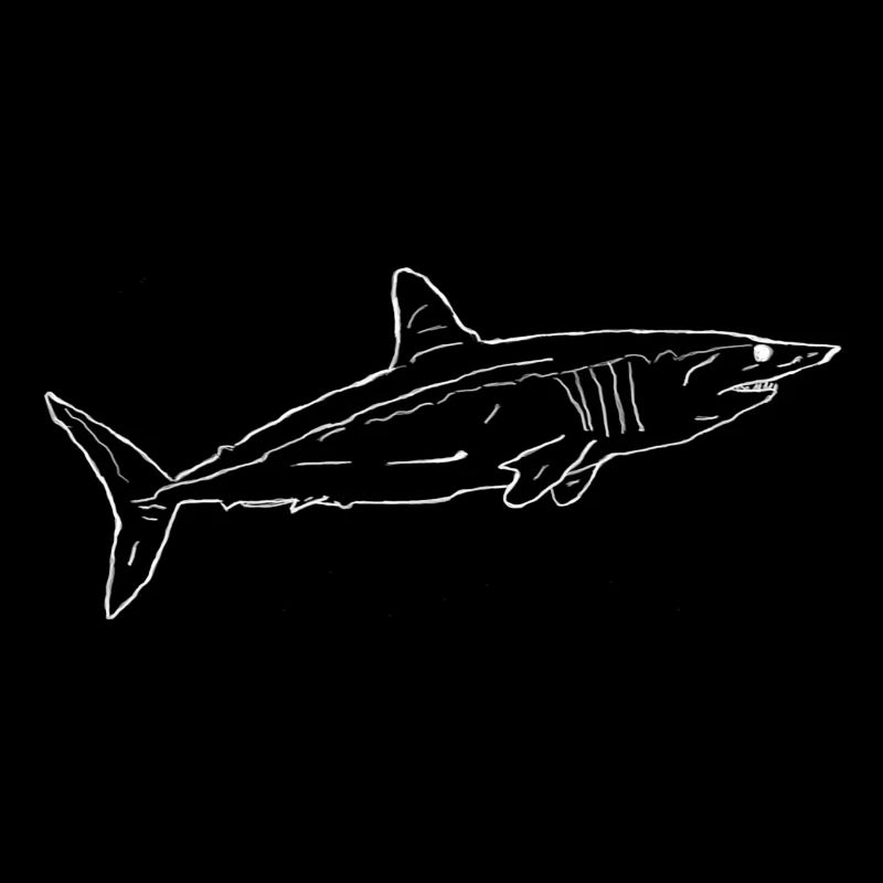Requin