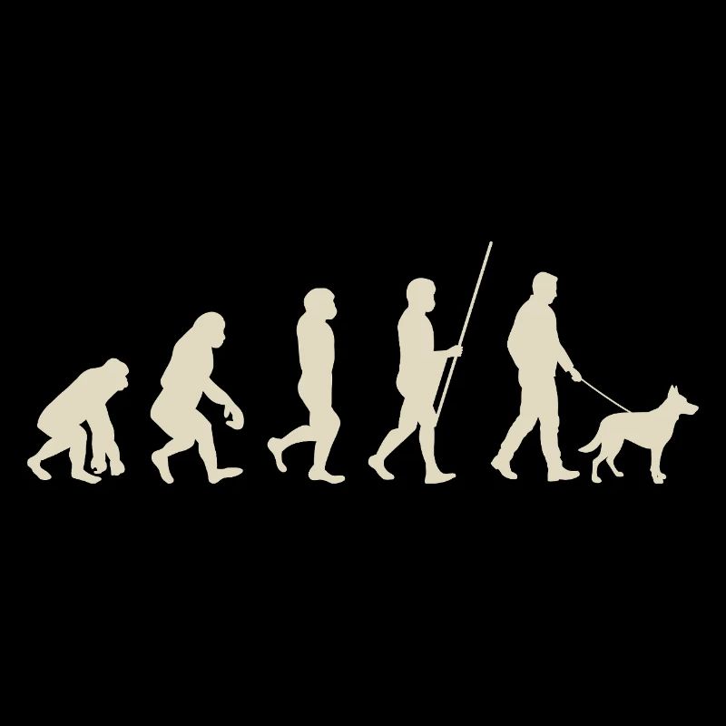 Illustration der Evolution der Menschheit