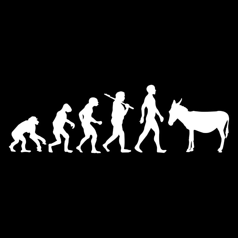 Evolution âne mule animal cadeau idée