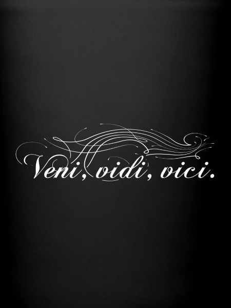 Veni vidi vici
