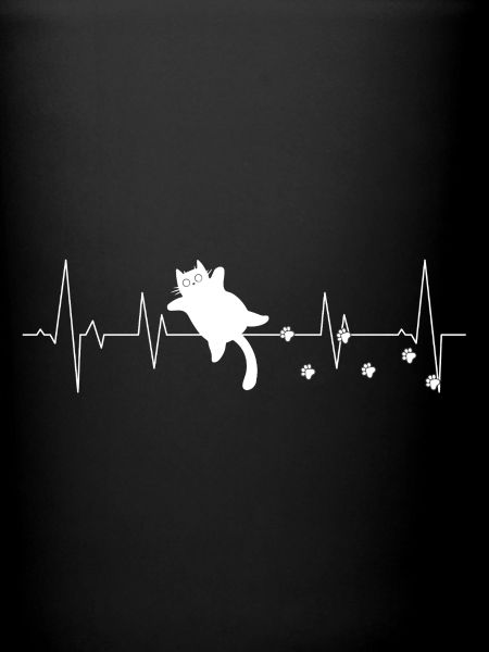 Cat heartbeat