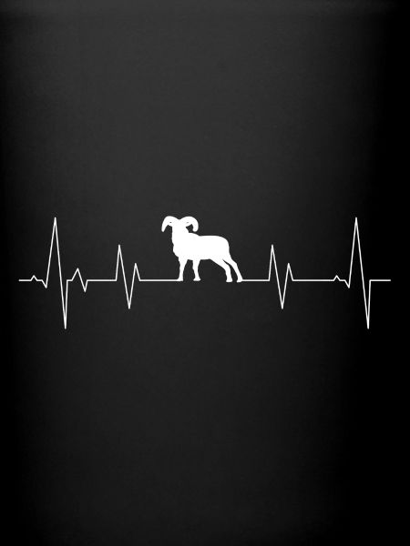 Aries heartbeat