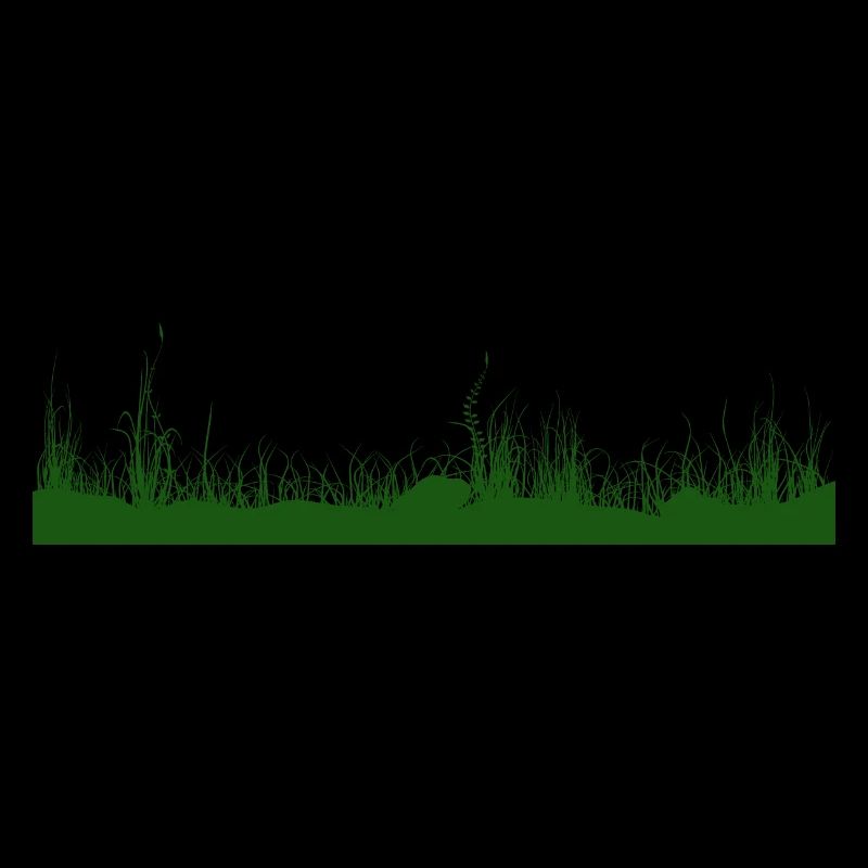 Gras Boden Wiese Graswiese