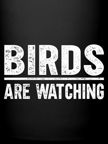 Les oiseaux observent
