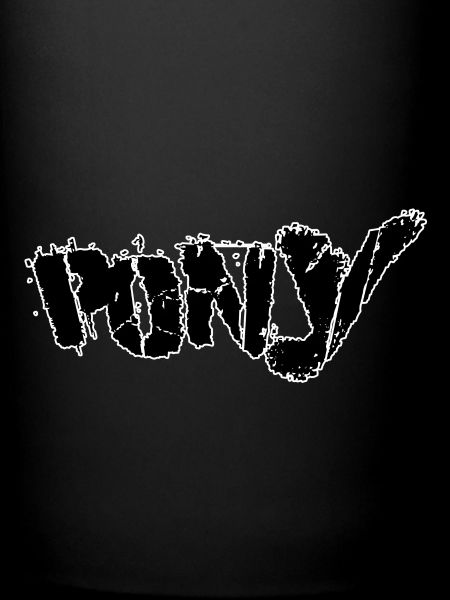 Pony