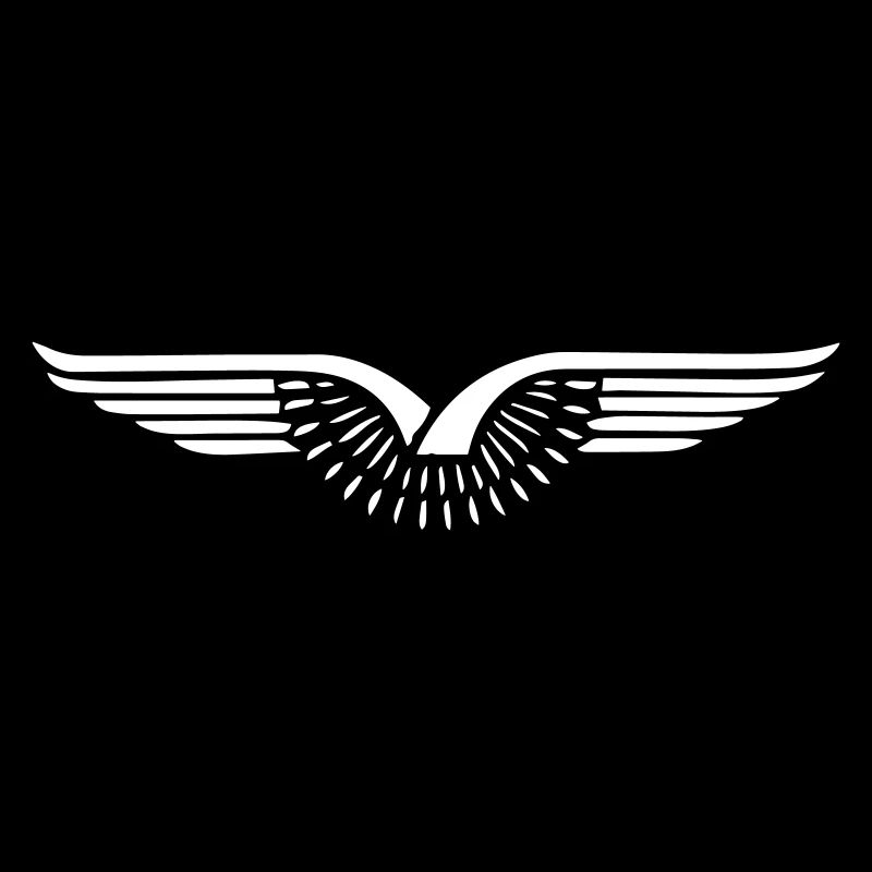 Eagle, wings - design