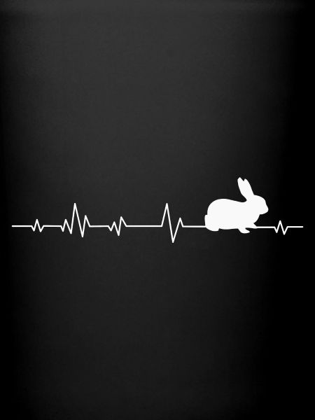 Lapin lapin