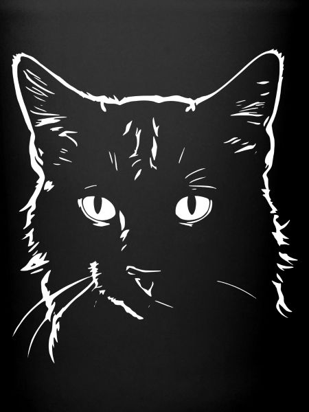 Katze 4