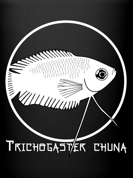 Trichogaster chuna