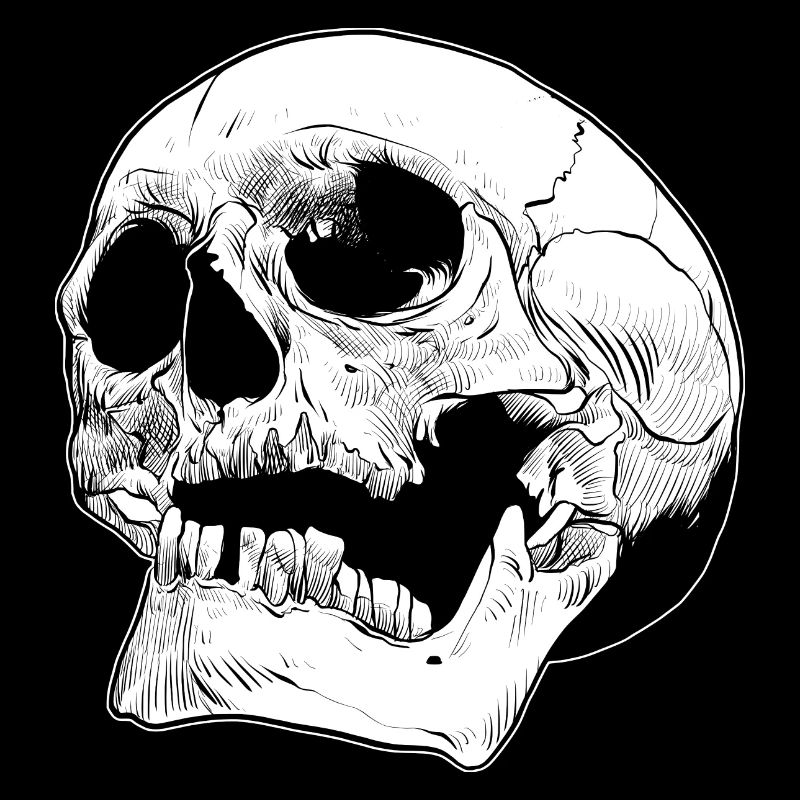 Skull skull skull bone head human