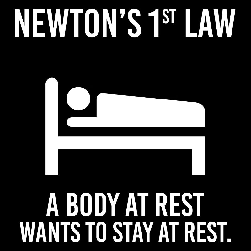 Physics Funny Saying Quote Newton Joke Physicist