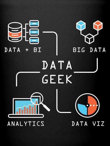 Data Geek Softwareentwickler
