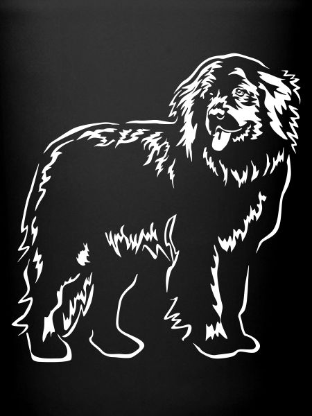 Newfoundland "Black Edition"