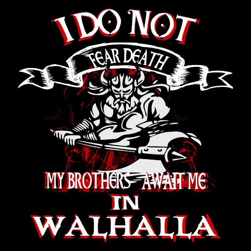 Wikinger Krieger Odin Walhalla nordisch