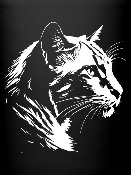 Chat 5