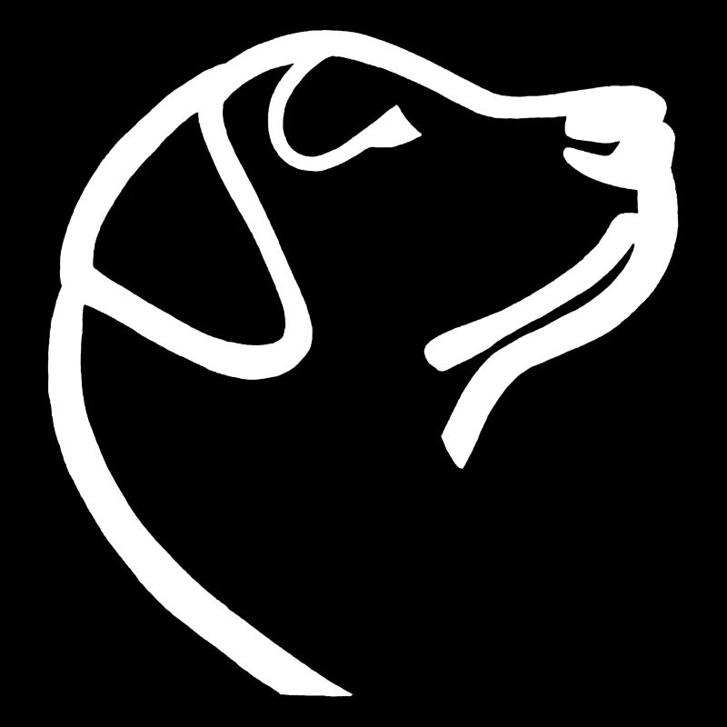 Esquisse du labrador blanc