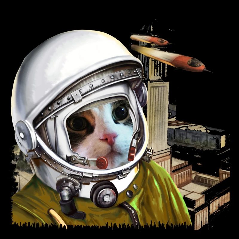 spacecat