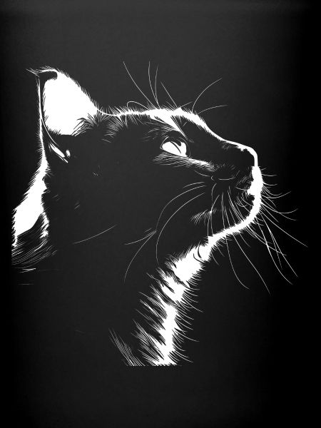 Silhouette Cat