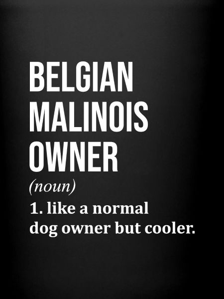 Belgian Malinois Belgian Malinois Belgian Malinois