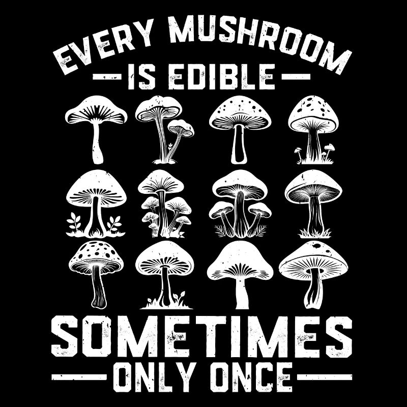Tous les champignons sont comestibles, certains une seule fois