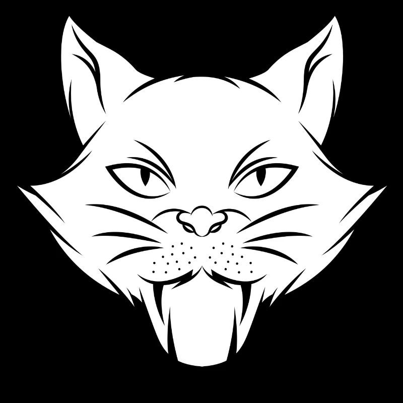 Chat chaton miaou chat domestique oeil de chat