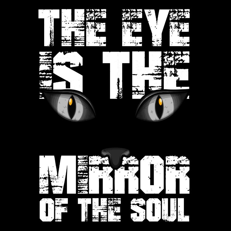 Chat chaton miaou chat domestique oeil de chat