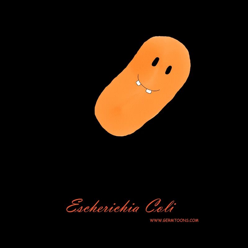 E. Coli / Escherichia Coli - Bakterie