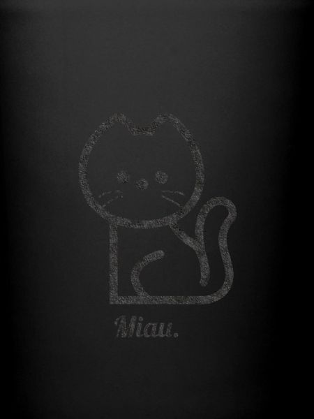 Chat miau