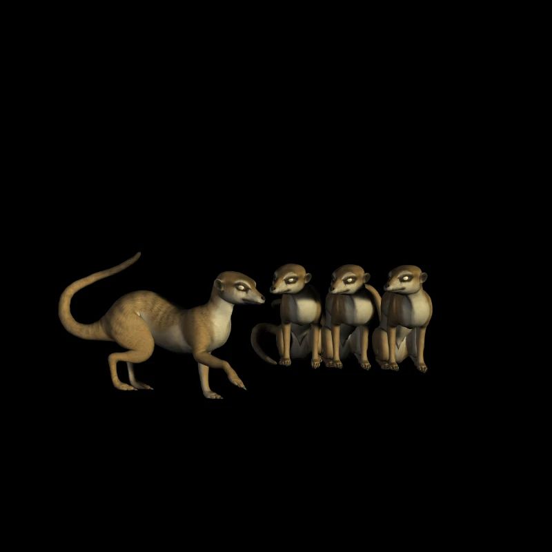 Lustige Erdmännchen