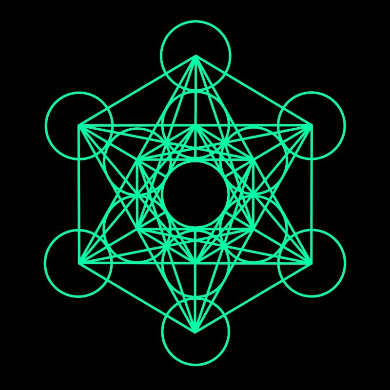 Metatrons Cube 10