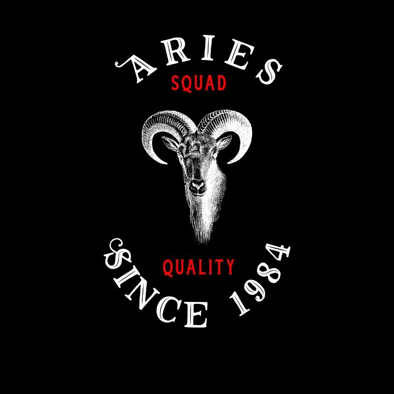 Widder Aries Bock Geschenk Sternzeichen Steinbock