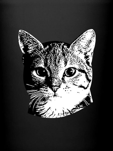 Doux visage de chat