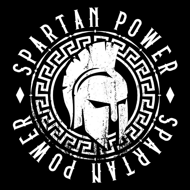spartan power gym workout