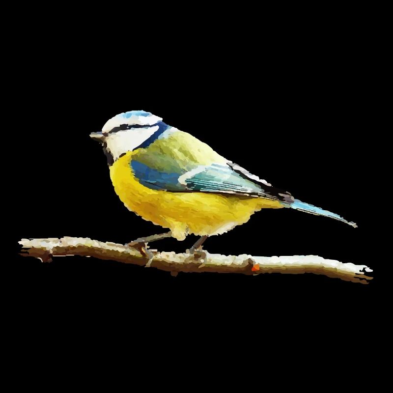 Titmouse