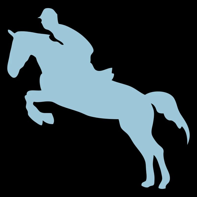 Springpferd 3 Hindernis Pferdespringen