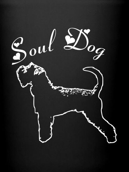 Schnauzer Soul dog