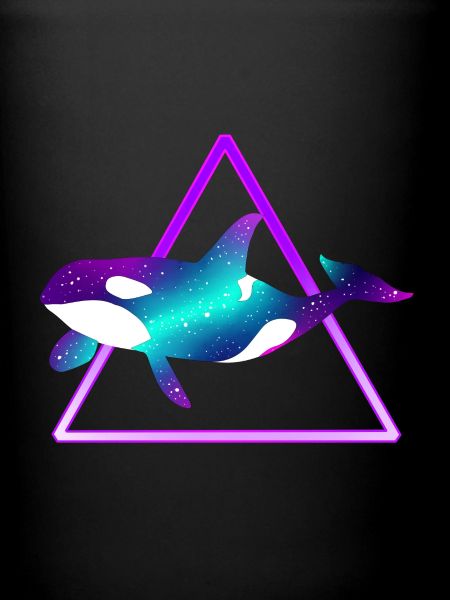 Orca baleine poisson