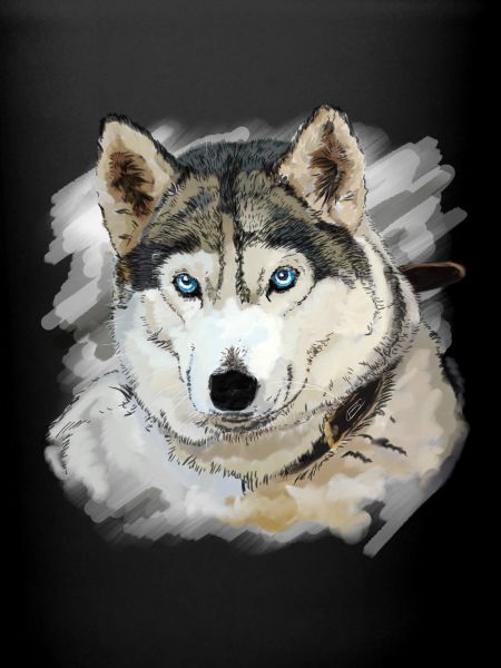 Husky