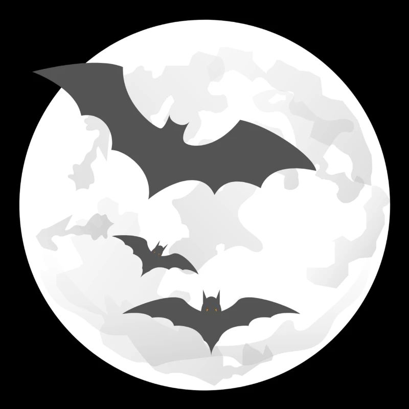 Vol nocturne des chauves-souris
