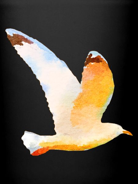 gull