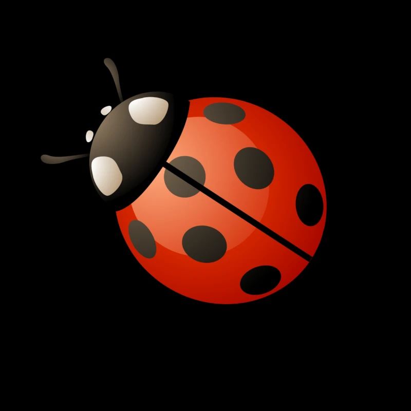 Ladybug red gift present idea