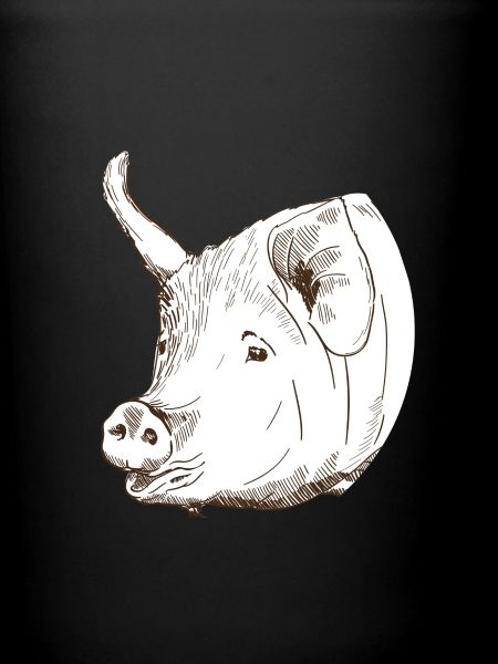 Cochon