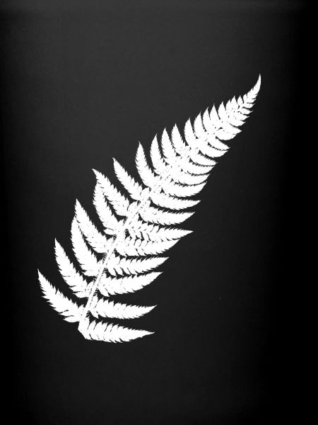 Contrasting Fern Feather