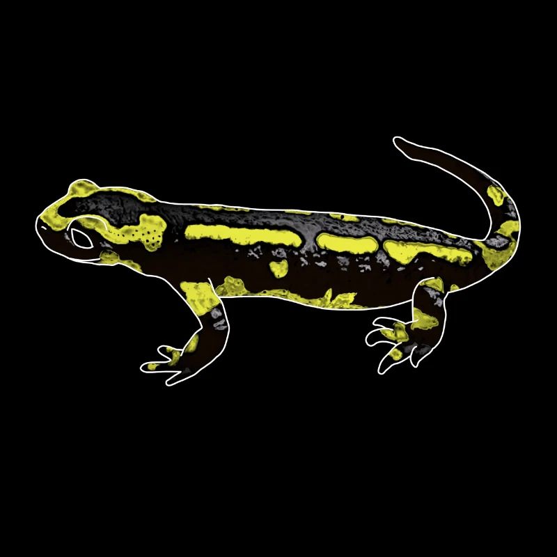 Feuersalamander