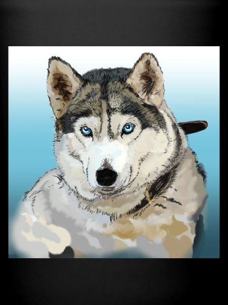 Husky