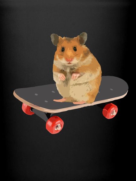 Skateboard Hamster