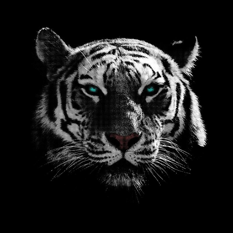 Tigre blanc