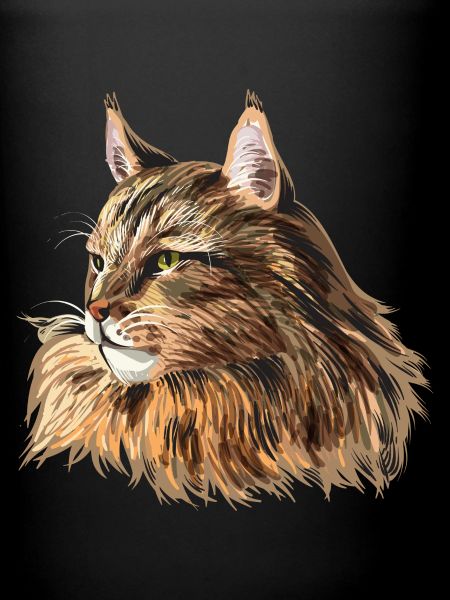 Maine Coon Cat