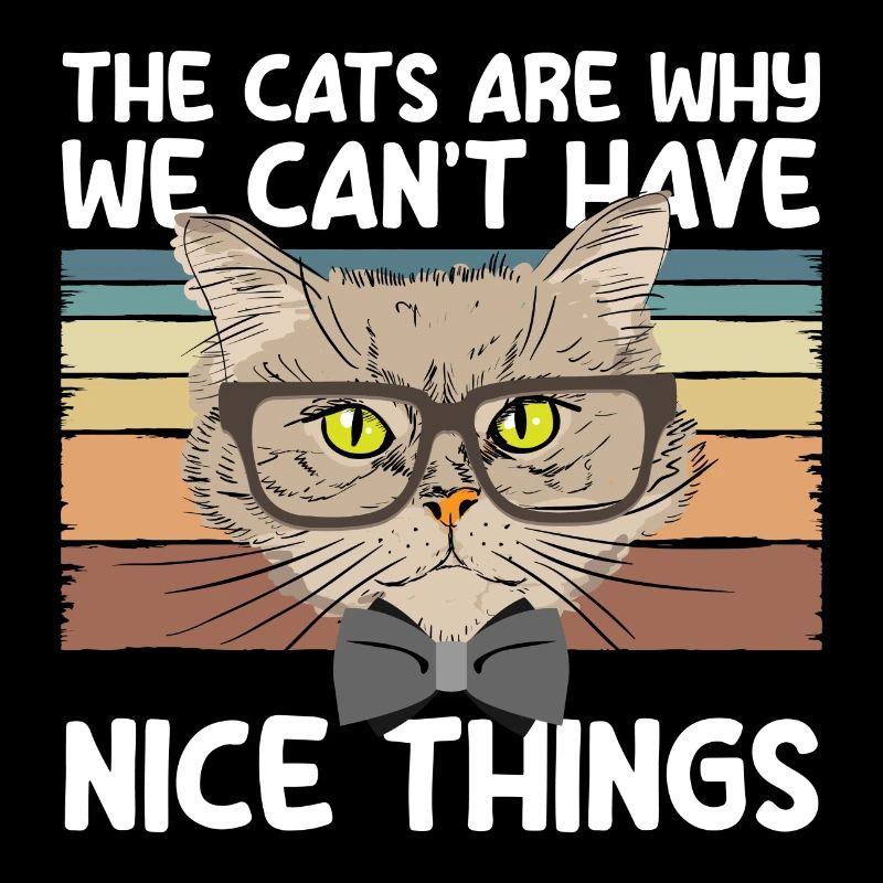 Chat Yeux de chat Ami Chat Maîtresse