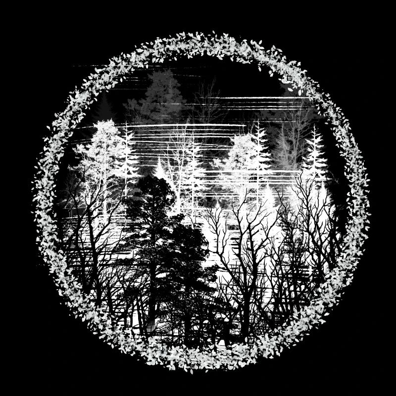 Forest Circle Silhouette Forest Landscape